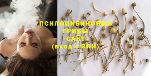 твердый Пестово