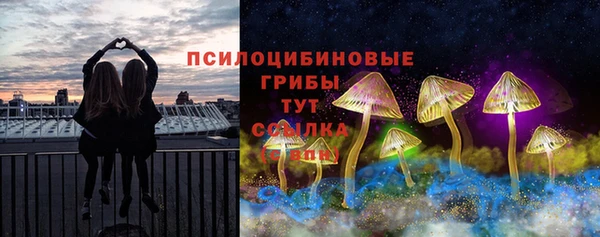 марки lsd Переславль-Залесский