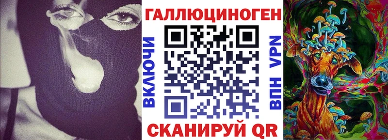 купить наркотики сайты  Жуковка  Псилоцибиновые грибы Magic Shrooms 
