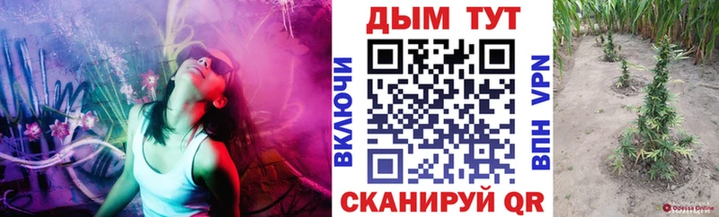 Каннабис индика  маркетплейс клад  Жуковка 